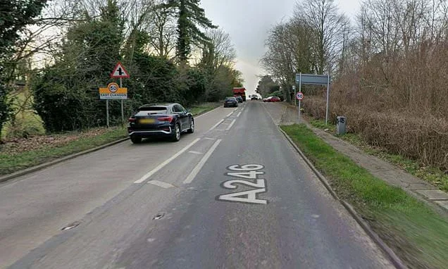 Teen and man in his 20s are dead after three cars involved in Surrey crash: Trio arrested on suspicion of causing death by dangerous driving