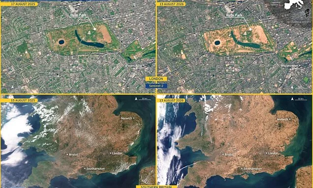See Britain's drought from space: Shocking satellite images show southern England turning brown - with London's Hyde Park almost entirely scorched