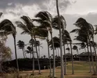 Hurricane Lala skirts Hawaii’s Big Island as heavy wind and rain lash region