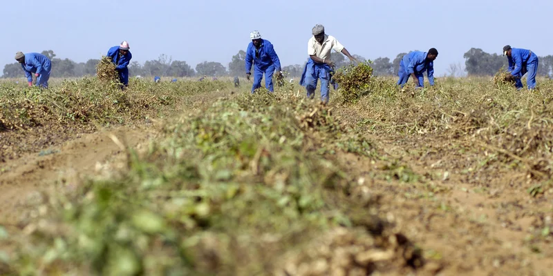 PRICE WATCH: SA July food inflation hits 16-year low, slowing CPI trajectory