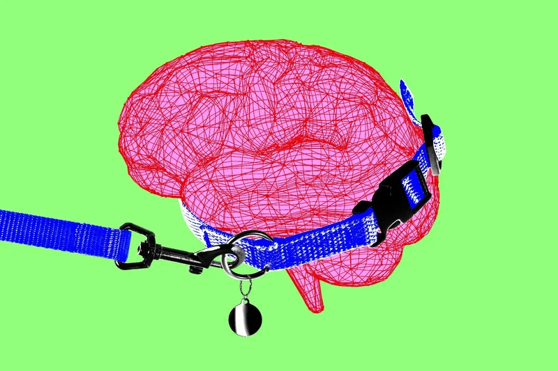 Trump’s AI testing plan is limited and vague
