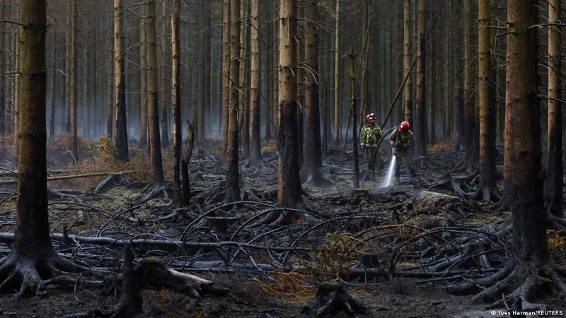 Belgium wildfire: Rains help High Fens containment efforts