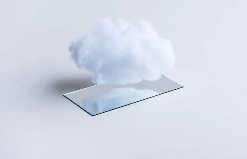 The Download: Flock’s new rules, cloning’s future, and children’s cells