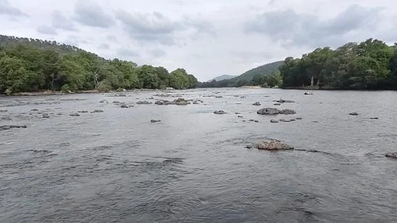 Cauvery water release to TN: Karnataka govt to evaluate CWRC recommendation