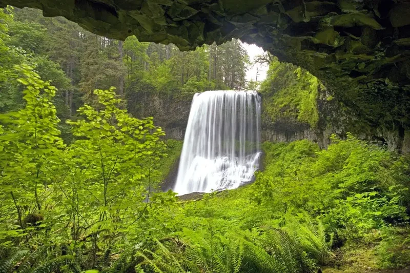 20-year-old man dead after fall from Oregon waterfall while taking picture