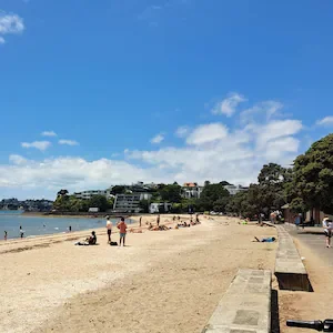 Number of 25C-plus days in Auckland could double by 2050, new research shows