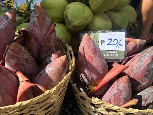 Cebu Mega Food Hub may be rolled out this year