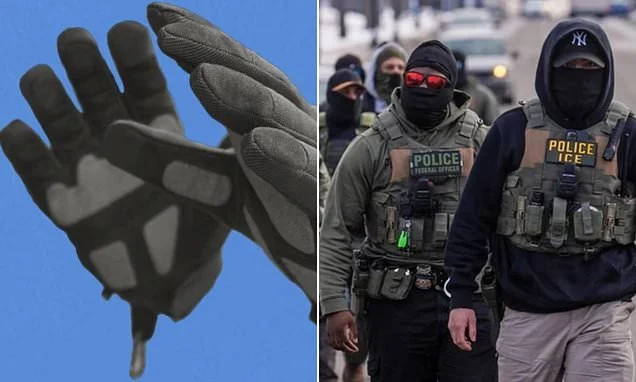 US immigration officers will be given gloves that deliver powerful electric shocks to anyone resisting them