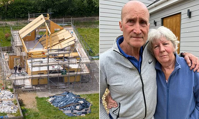 Timber! Million-pound home built secretly instead of horse-breeding clinic is razed to the ground