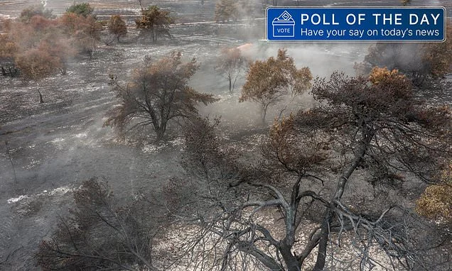 POLL OF THE DAY: Are Labour's environmental policies to blame for record wildfires?