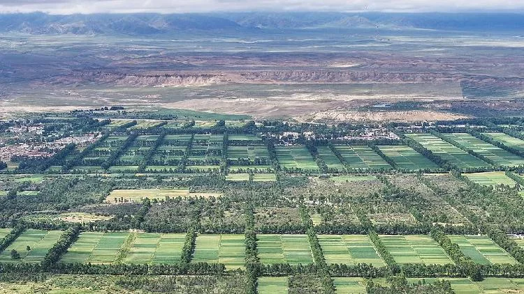 COP17 highlights China's achievements in combating desertification