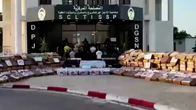 Algerian police seize 33 kg of cocaine in major drug bust