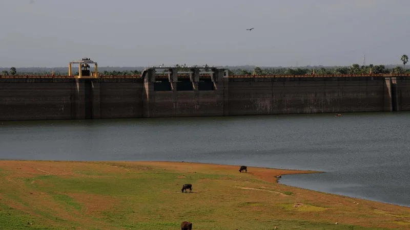 Kerala government’s big desilting push faces scrutiny over Chulliyar project in Palakkad