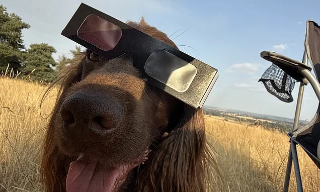 The eclipse snapped by YOU: Daily Mail readers' photos are revealed