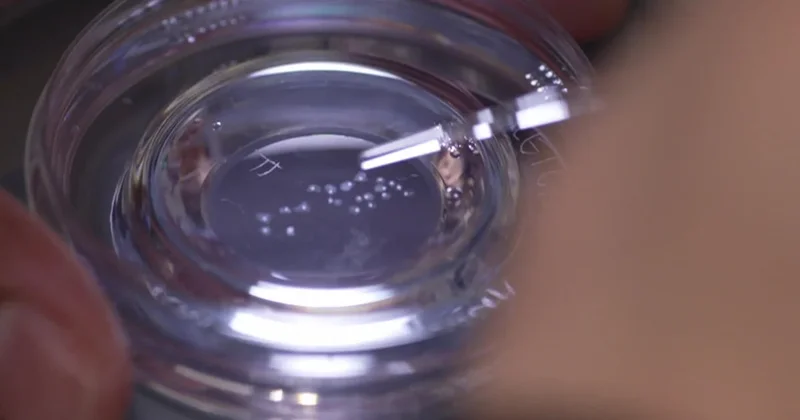 The ins and outs of egg freezing | 60 Minutes Archive