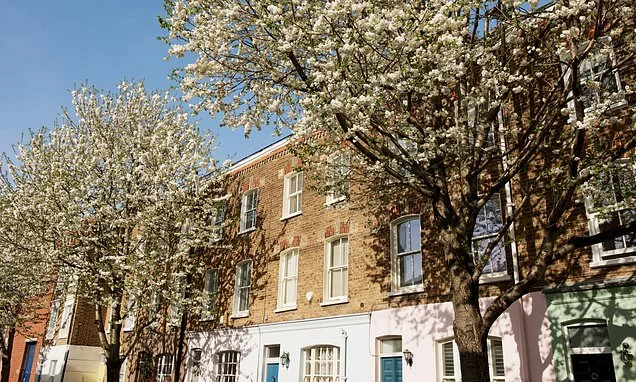 Ultra-rich pay up to £40,000 a week on rent to dodge Britain's property taxes
