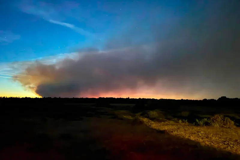 New Forest may take decades to recover from ‘devastating’ fire as more than 120 firefighters continue to battle blaze