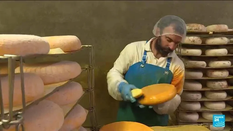 France: Drought's impact on the cheese industry
