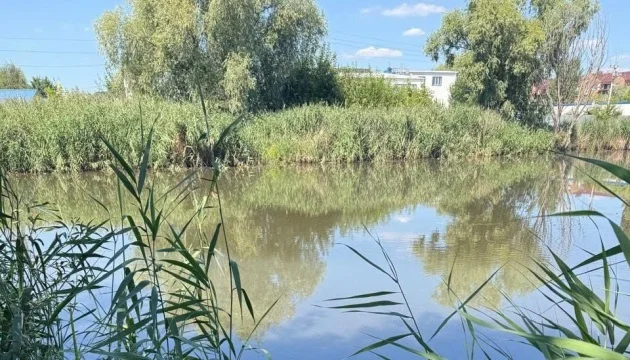 Mass fish mortality reported in water bodies in Kyiv region