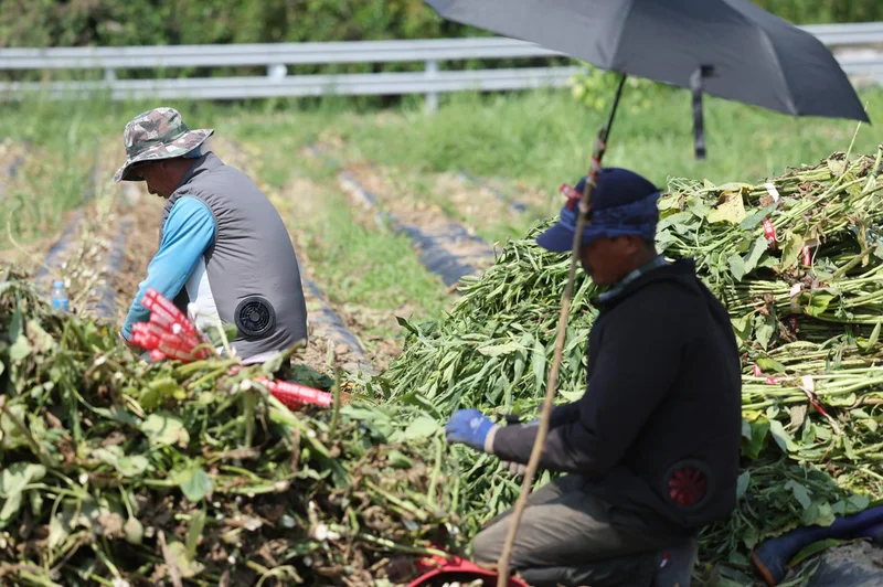 Lao worker's death exposes gaps in Korea's seasonal labor system
