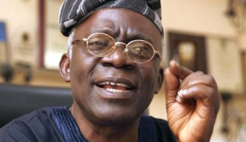 Sanction South African businesses over xenophobic attacks on Nigerians – Falana tells FG.