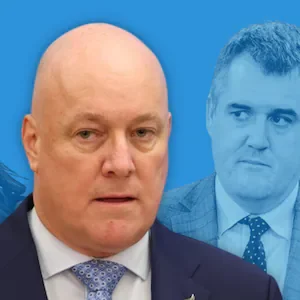 National leadership challenge: Heather du Plessis-Allan says Luxon has lost three loyal MPs