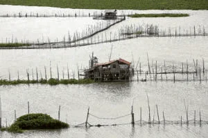 Laguna de Bay water level rises, remains below critical mark