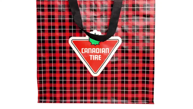 Canadian Tire says 'we did not pay' Hudson Williams to carry tote