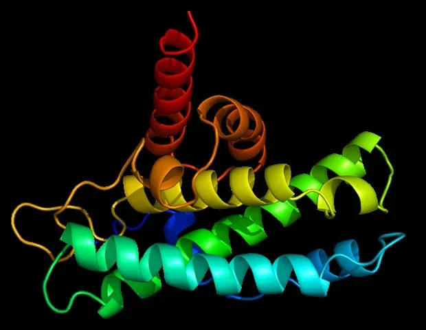 Researchers discover smart molecular glue that activates inside oxidative cancer cells