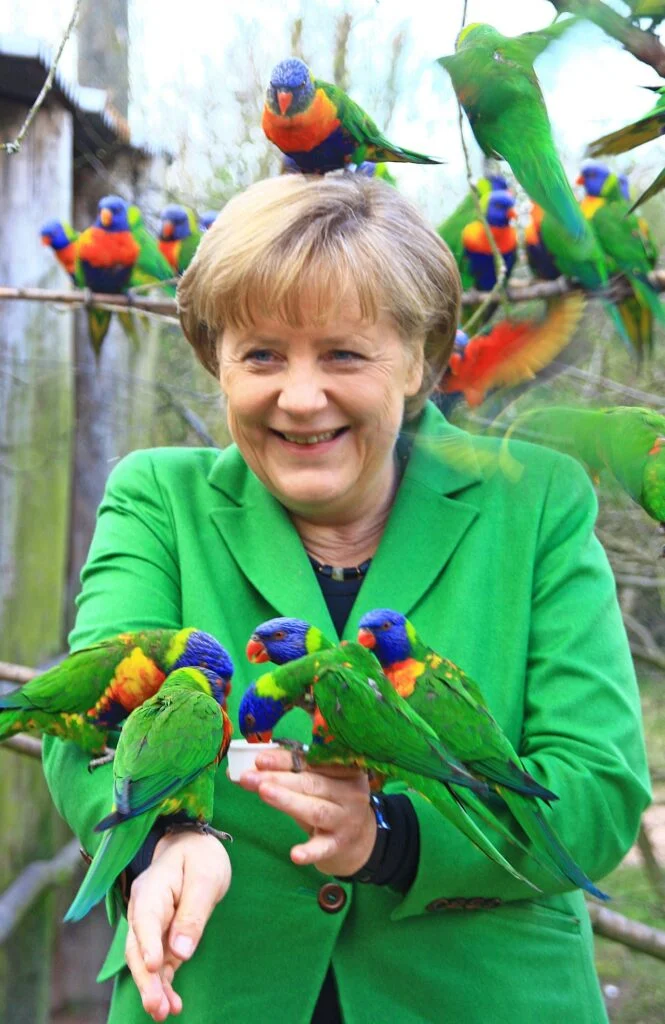 Snakes on a campaign! When animals attack politicians