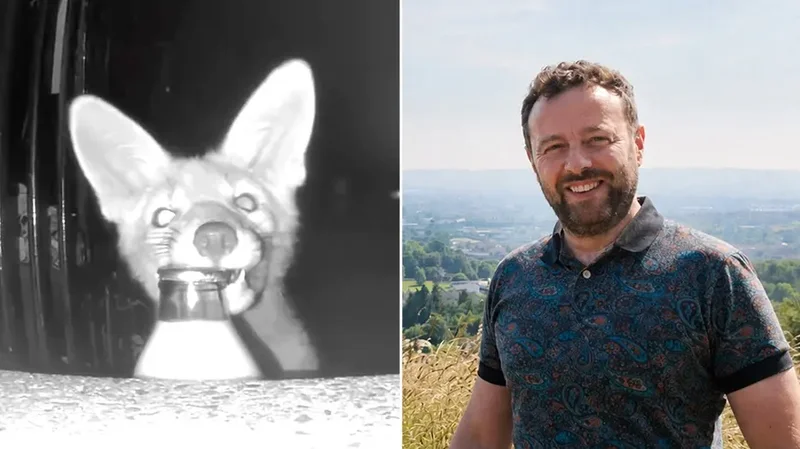 Homeowner blames 'militant vegan' for missing milk before camera reveals real thief