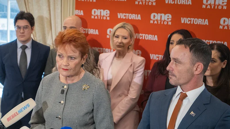 One Nation winners, micro-parties lose out in voting reform