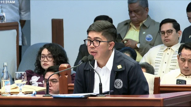 WATCH: Witness says Duterte first VP audited for confidential funds