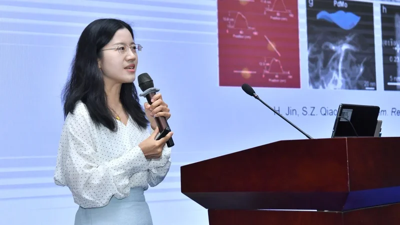 Electrochemist Liu Jiawei moves from Singapore to Hong Kong to start her own lab