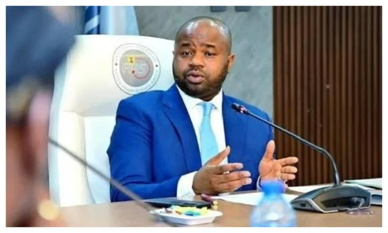 Nigerians tackle NRS boss, Adedeji over Tinubu trekking to office, eating once daily comments