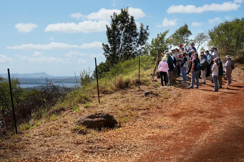 In A Hidden Hawaiʻi Gulch, A Wartime Secret Opens To The Public