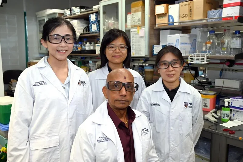 NUS researchers find drug that turns off ‘master switch’ in aggressive breast cancer