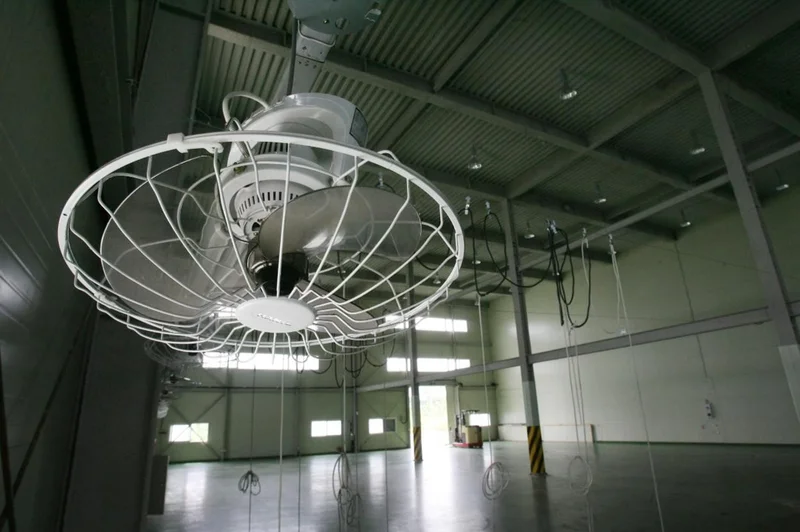 [MORNING CALM TALES] Fan death, a cautionary breeze