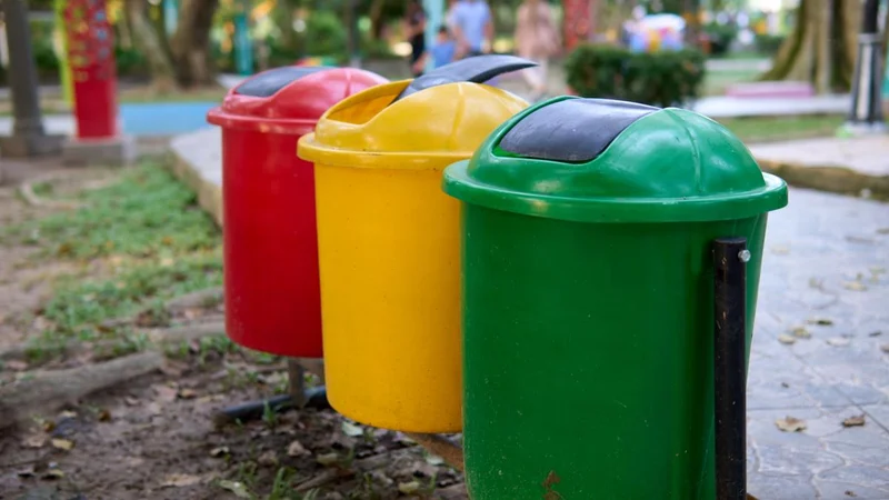 Organic waste in India is a wasted opportunity