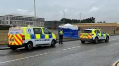 Man arrested after death of nine-year-old girl found injured in industrial estate