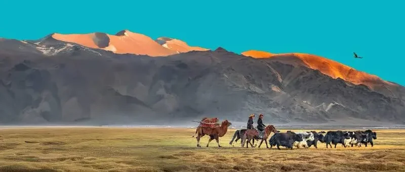 Seven key issues to shape conversations as UNCCD COP17 kicks off in Mongolia