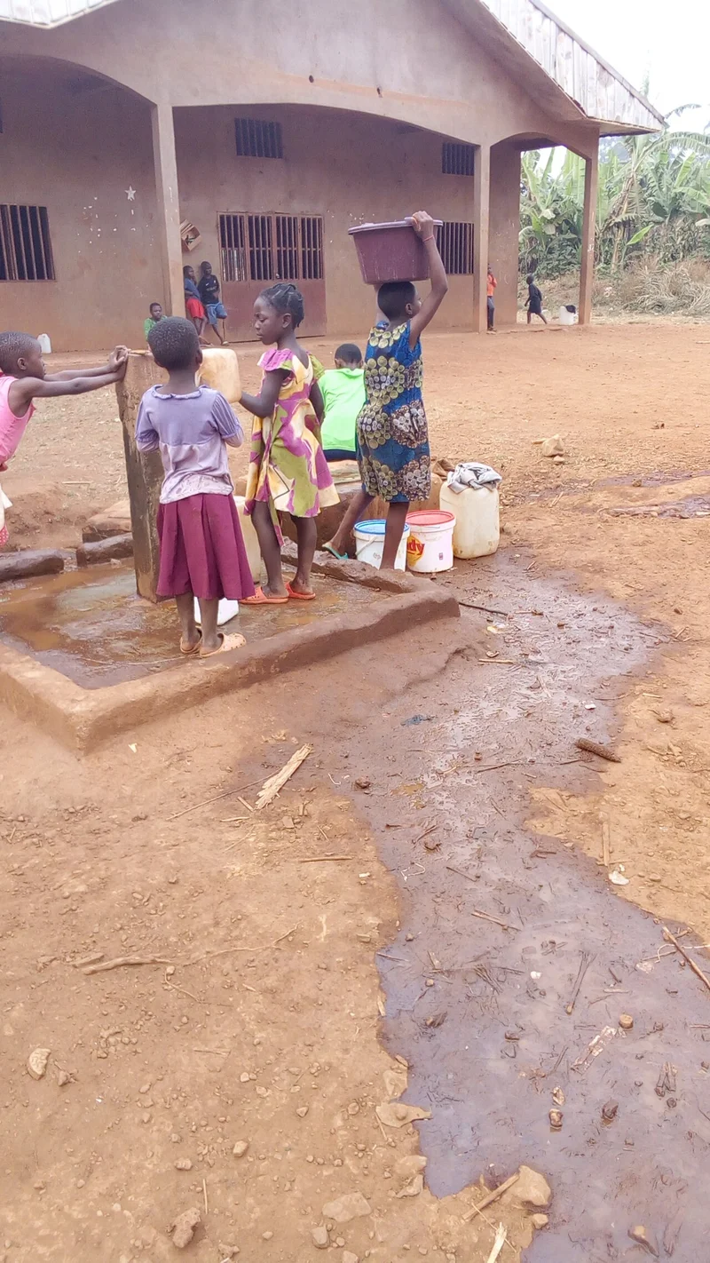 Cameroon Cholera Epidemic Surges in Far North with 25 Deaths