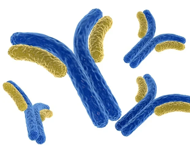 Study investigates spotted fever group rickettsioses in Laotian pets and owners
