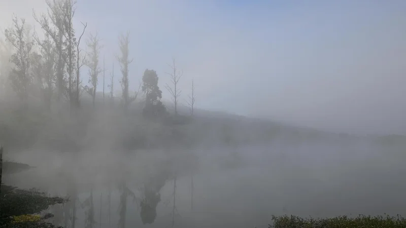 A love letter to the Nilgiris: Tall Tales & Short Stories celebrates the hills