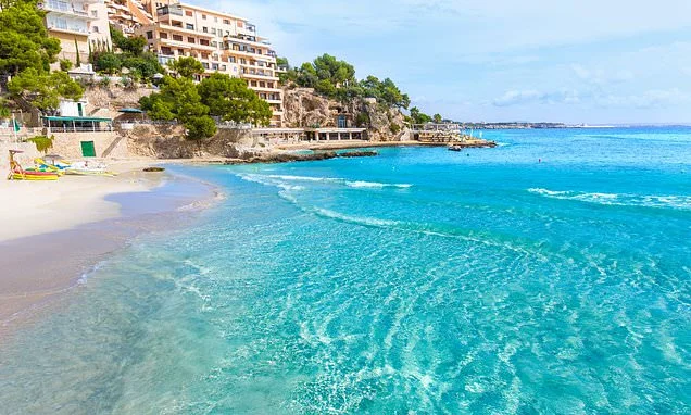 'They draw blood': Majorca tourists warned of 'biting fish attacks' at popular beach resorts