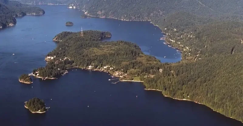 Wildfire breaks out in Belcarra Park near Port Moody, Anmore