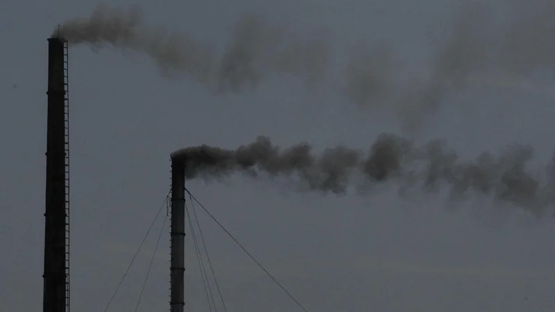 Kozhikode Corporation awaits CWRDM report to conduct carbon audit