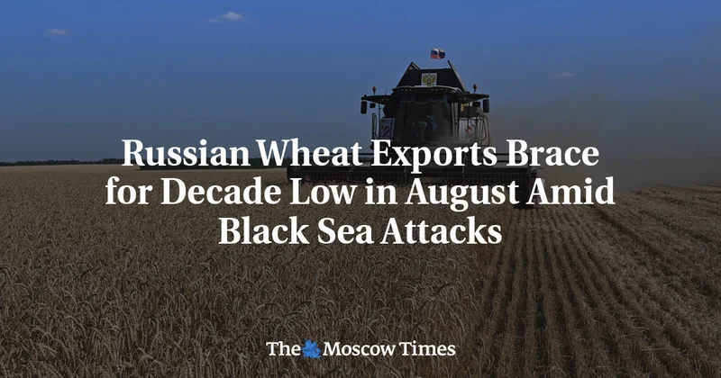 Russian Wheat Exports Brace for Decade Low in August Amid Black Sea Attacks