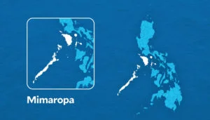 Lower food, gas prices slow down Mimaropa inflation in July