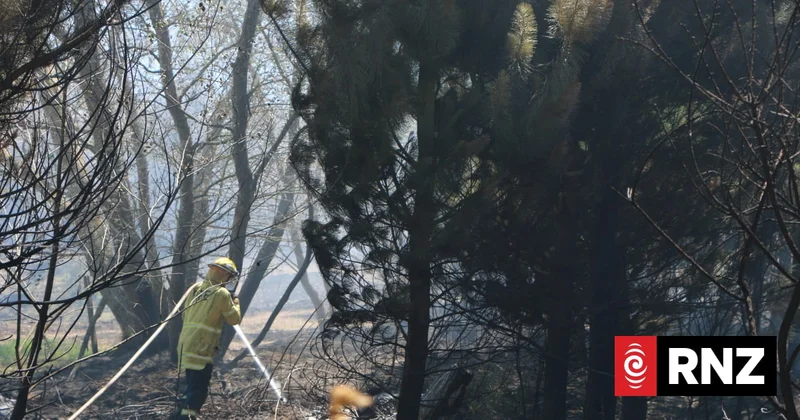 Big knowledge gaps around where wildfires burn and the damage they are doing
